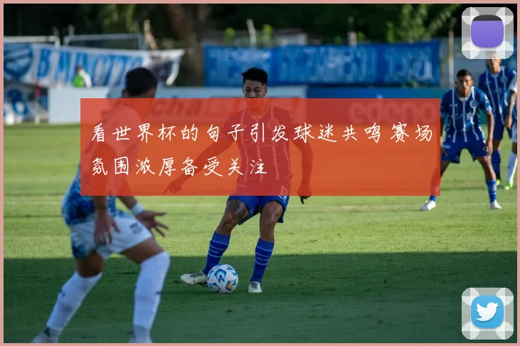 看世界杯的句子引发球迷共鸣 赛场氛围浓厚备受关注