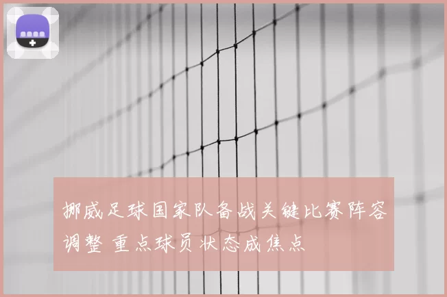 挪威足球国家队备战关键比赛阵容调整 重点球员状态成焦点