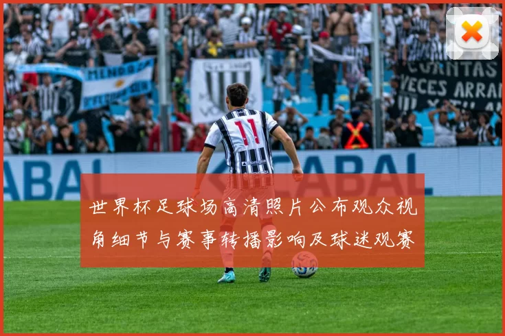 世界杯足球场高清照片公布观众视角细节与赛事转播影响及球迷观赛体验