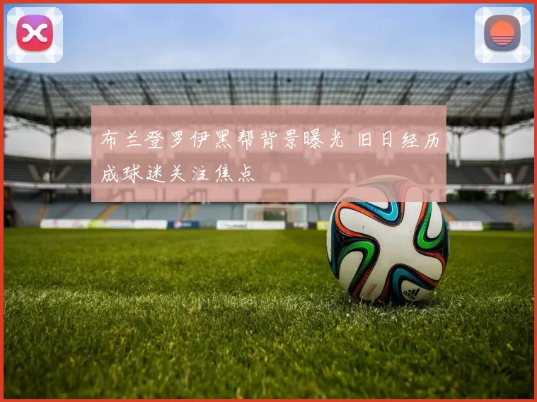 布兰登罗伊黑帮背景曝光 旧日经历成球迷关注焦点